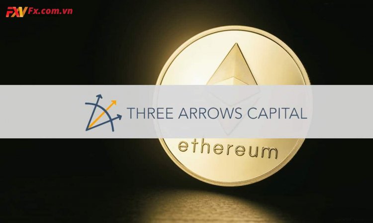 Three Arrows Capital là gì? Thông tin về quỹ đầu tư 3AC