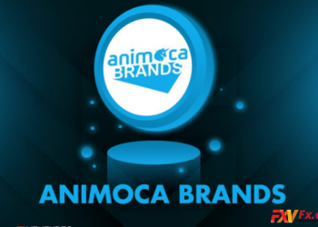 Animoca Brands là gì Một số thông tin của quỹ đầu tư Animoca Brands
