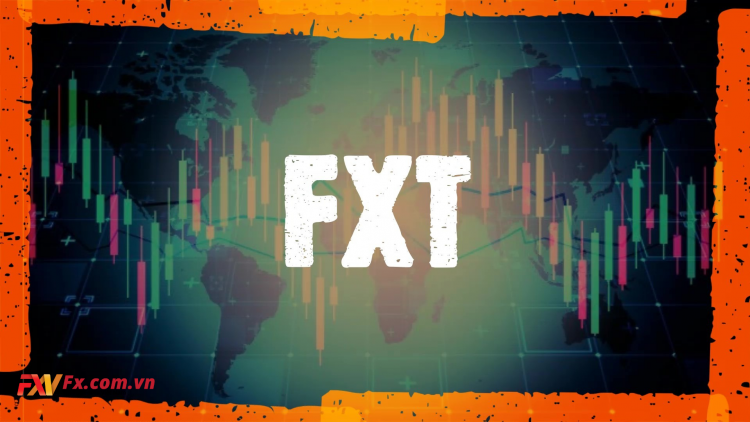 FXT Token là gì? Thông tin về đồng tiền ảo đa cấp FXT Token