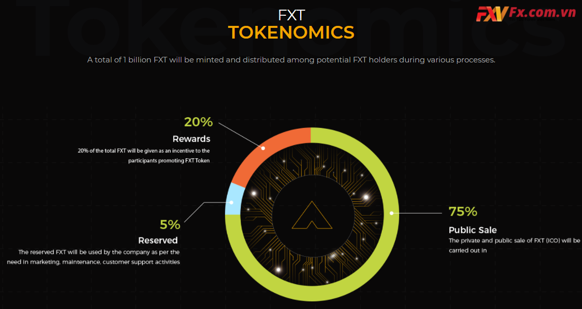 Kế hoạch phân bổ FXT Token