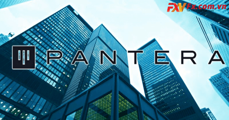 Pantera Capital là gì? Quỹ đầu tư Pantera Capital có an toàn không?