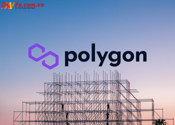 Polygon là gì? Tổng quan về hệ sinh thái Polygon