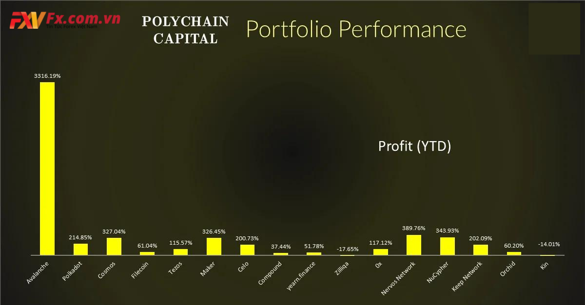 Portfolio Performance