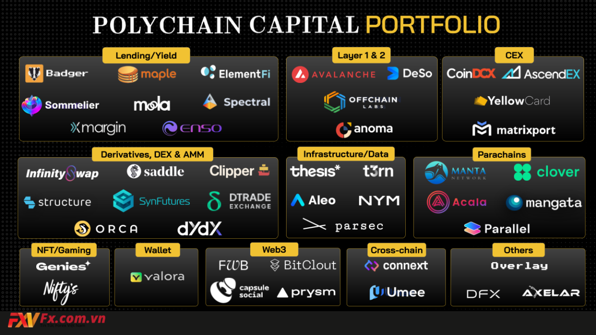 Xu hướng đầu tư của Polychain Capital trong tương lai