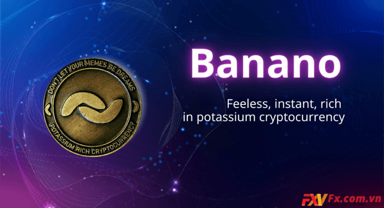 Banano Coin là gì? Thông tin chi tiết về đồng Banano Coin
