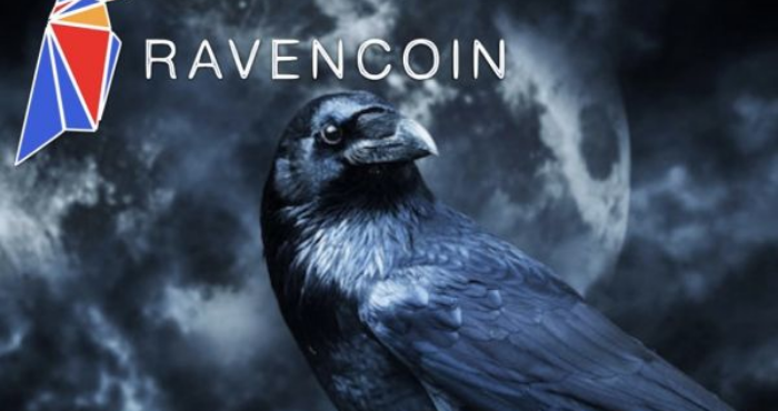 Raven Coin là gì?