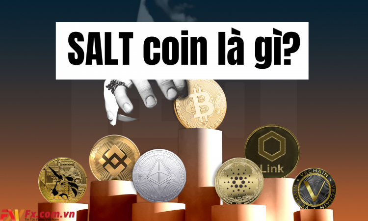 SALT coin là gì? Một số thông tin về đồng SALT coin