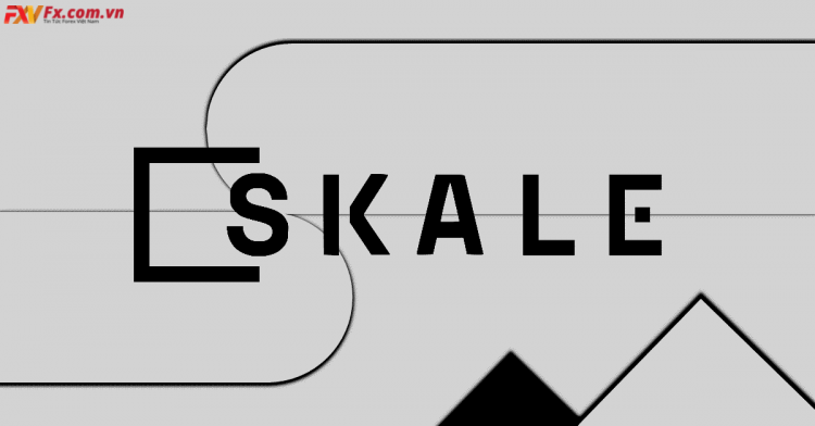 SKL Coin là gì? Nên đầu tư vào dự án SKALE Network hay không