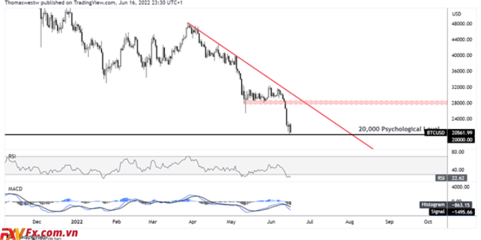 Biểu đồ hàng ngày BTC/USD