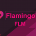 Flamingo Finance (FLM) là gì? Tổng hợp kiến thức về FLM Coin và dự án Flamingo Finance