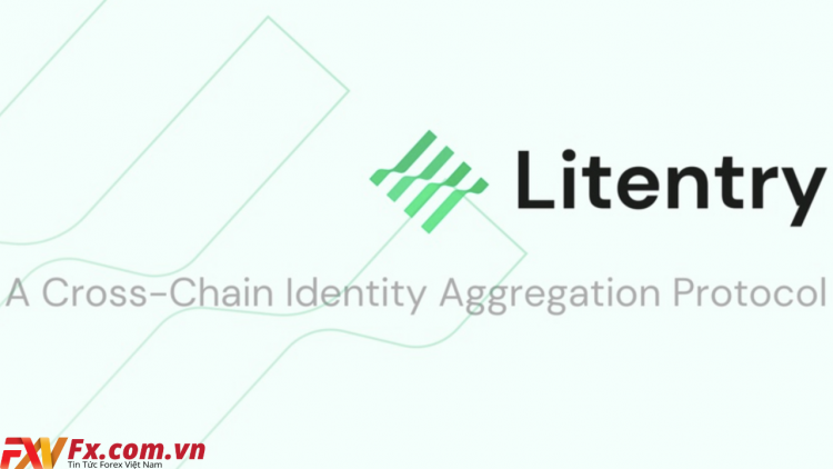 Litentry (LIT) là gì? Thông tin về dự án Litentry và LIT Coin