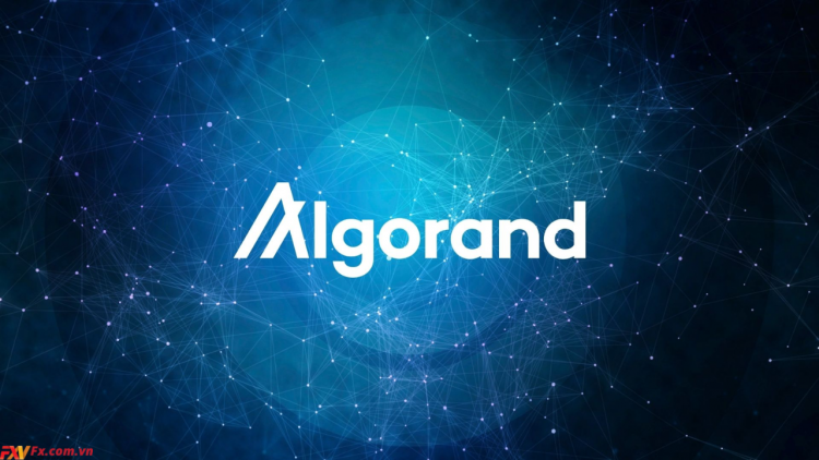 Algorand (ALGO) là gì? Phân tích đặc điểm của ALGO Coin