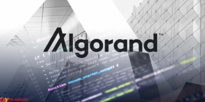 Giải pháp của dự án Algorand là gì?