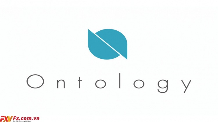 Ontology (ONT) là gì? Tiềm năng của hệ sinh thái ONT