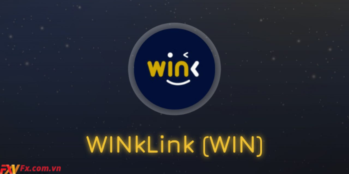 Vì sao WINK lại chuyển thành thành Blink?