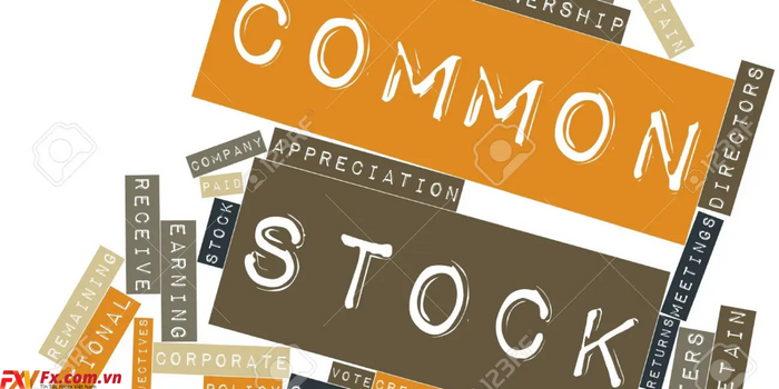 Common stock là gì?