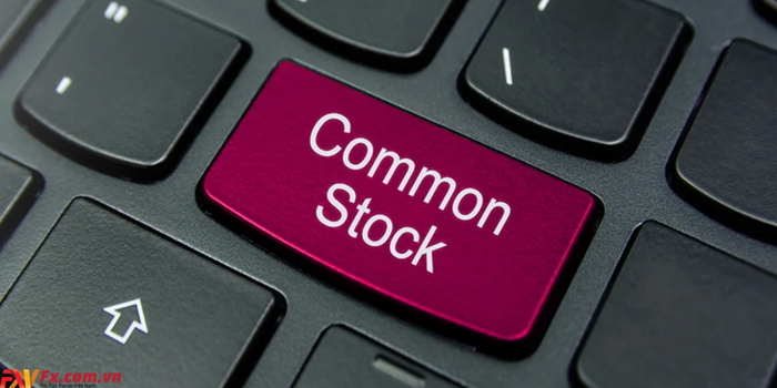 Quyền lợi của việc sở hữu Common stock trong công ty? Ưu điểm của việc phát hành cổ phiếu phổ thông?