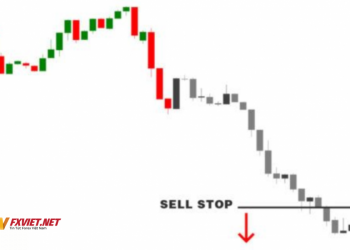 Sell Stop là gì Hướng dẫn cài đặt và sử dụng hiệu quả lệnh Sell Stop