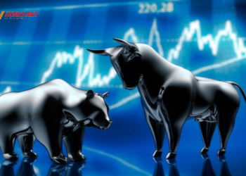 Bull Market và Bear Market là gì Đặc điểm và cách giao dịch hiệu quả