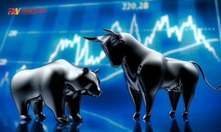 Bull Market và Bear Market là gì? Đặc điểm và cách giao dịch hiệu quả