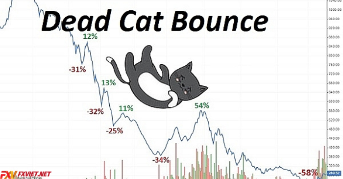 Dead Cat Bounce là gì?