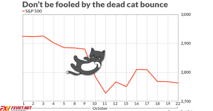 Điểm khác biệt giữa cú nảy con mèo chết và sự đảo chiều giá