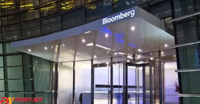 Khách hàng của Bloomberg là ai?