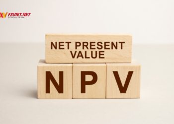 NPV là gì? Ý nghĩa và công thức tính giá trị hiện tại ròng (NPV)