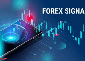 Forex Signals là gì? Nên dùng tín hiệu Forex trong giao dịch hay không?