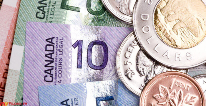 Đô la Canada - top 10 đồng tiền cao nhất thế giới
