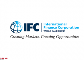 IFC là gì? Cách sở hữu giấy phép IFC