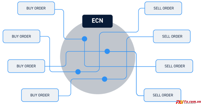 Các lợi ích khi sử dụng sàn Forex ECN