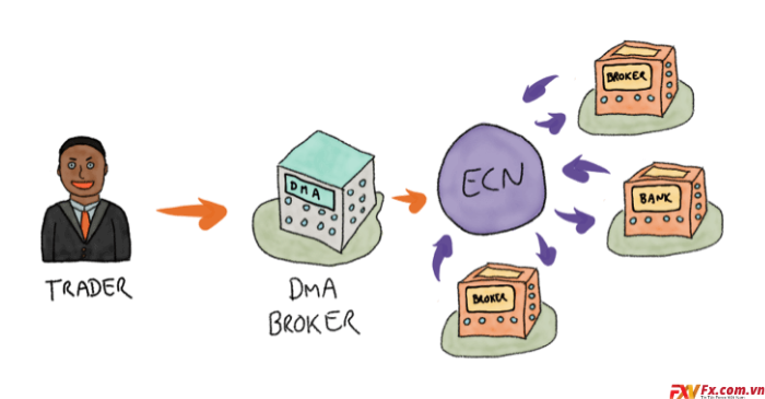 Làm thế nào để đánh giá giữa các sàn Forex ECN?