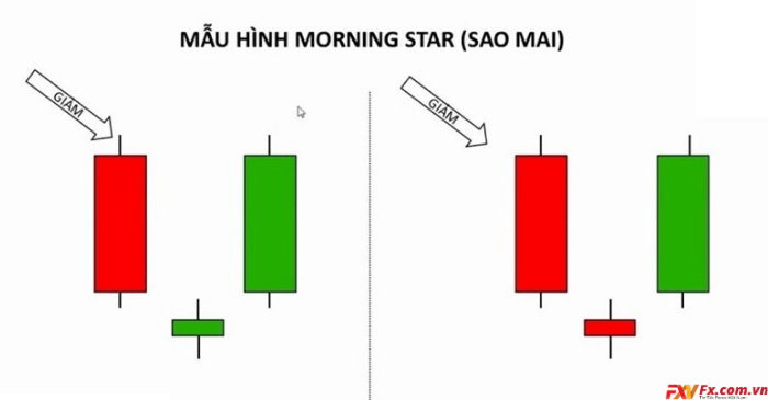 Đặc điểm của nến Morning Star là gì?