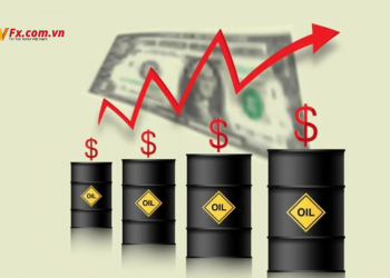 Báo cáo hàng tháng của OPEC cho thấy thị trường dầu tiếp tục cắt giảm