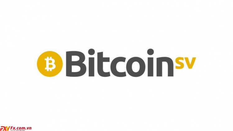 Bitcoin SV là gì? Đánh giá chi tiết dự án Bitcoin SV 2023