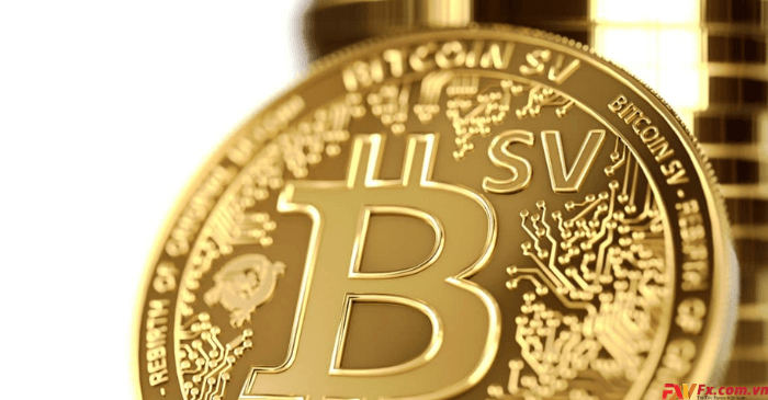Bitcoin SV là gì?