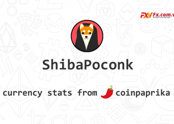 CONK token là gì Cách mua ShibaPoCONK trên sàn Binance