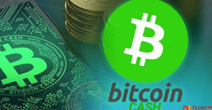 Lý do ra đời của Bitcoin Cash là gì?