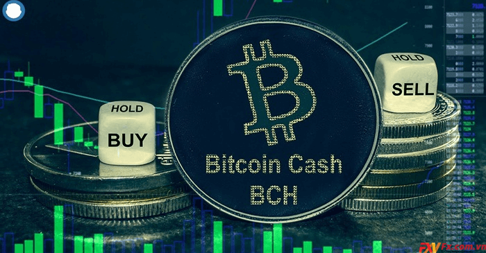 Sự khác biệt giữa Bitcoin và Bitcoin Cash là gì?