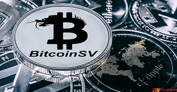 Tại sao Bitcoin SV lại gây tranh cãi?