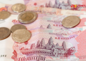 100 tiền Campuchia bằng bao nhiêu tiền Việt Nam Quy đổi tỷ giá mới nhất