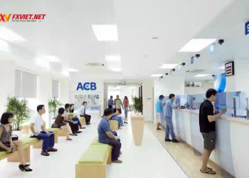 5 Cách sao kê ngân hàng ACB nhanh gọn lẹ