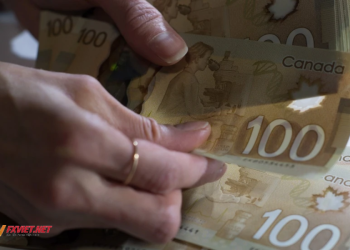 100 đô Canada bằng bao nhiêu tiền Việt Đổi đô Canada ở đâu an toàn