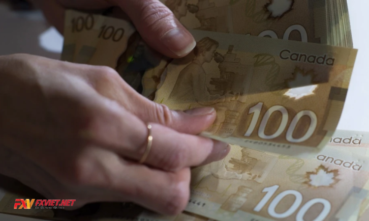 100 đô Canada bằng bao nhiêu tiền Việt? Đổi đô Canada ở đâu an toàn?