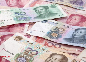 500 tệ bằng bao nhiêu tiền Việt Xem tỷ giá CNYVND mới nhất