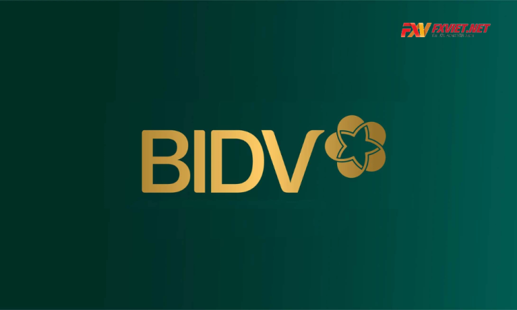 Hướng dẫn cách tra cứu mã ngân hàng BIDV nhanh chóng