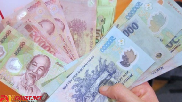 Tìm hiểu các mệnh giá tiền Việt Nam từ trước đến nay